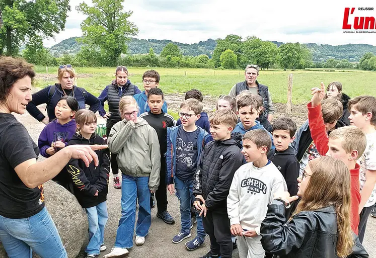 Des enfants s'amusent avec des animaux.
