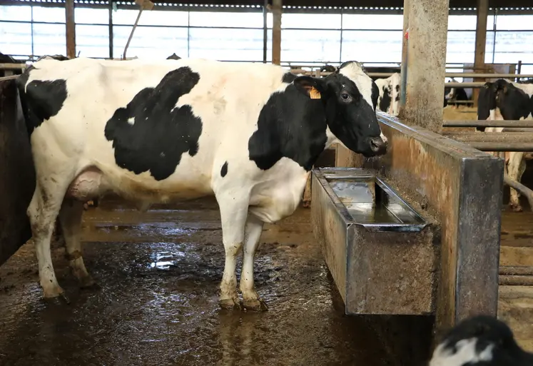 Attention, une eau limpide n’est pas forcément une eau de bonne qualité.