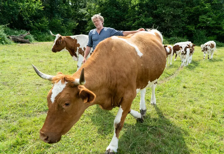 Sauvée de l'extinction par une poignée d'éleveurs, la Ferrandaise sera la tête d'affiche du prochain SIA. Une reconnaissance du travail accompli pour Alain Guéringer, président de l'Association La Ferrandaise. 