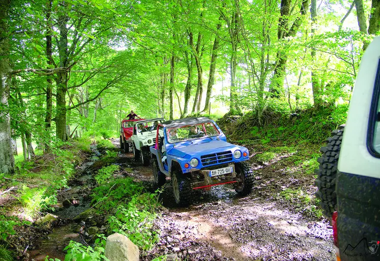 Des 4x4 dans la forêt.
