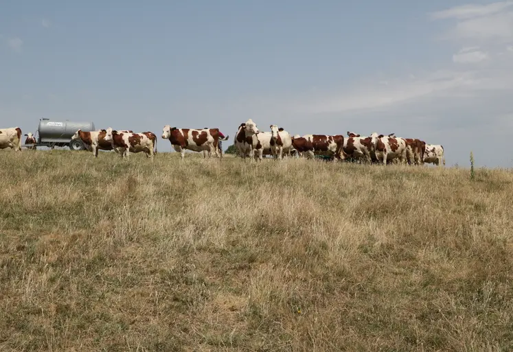 Les agriculteurs non assurés peuvent également bénéficier de l’Indemnité de Solidarité Nationale, mais dans des conditions moins avantageuses.