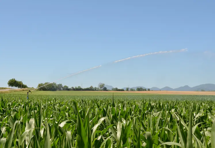 irrigation de maïs dans la plaine de la Limagne