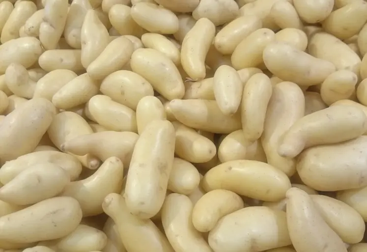 pommes de terre en vrac