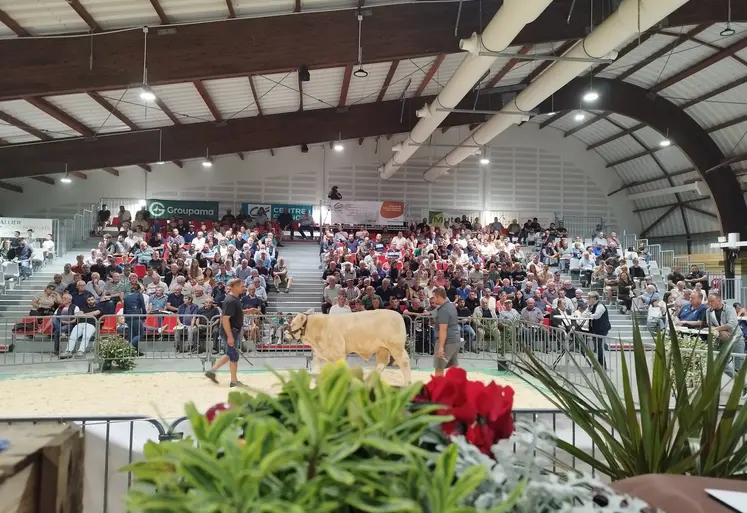 48e vente aux enchères Alsoni