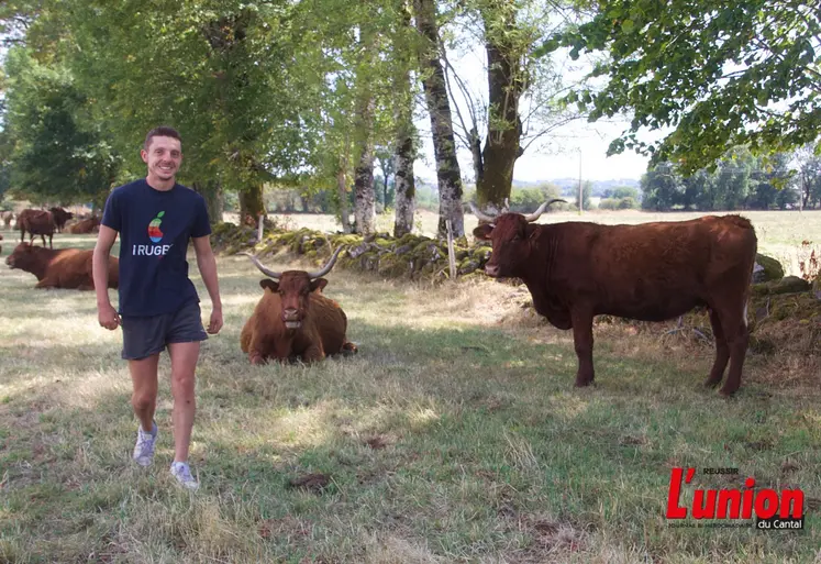 jeune agriculteur qui marche dans une prairie entre des vaches de race salers