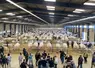 exposition d'animaux sous un hangar pour la foire de boussac