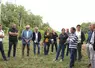 Au milieu des vignes de Corrèze.