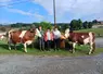  Alexis, Linda et Florian en compagnie de leurs deux montbéliardes sélectionnées pour le concours.