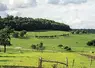 Des champs dans le massif central