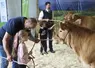 Le concours Qualiviande qui a eu lieu à la grande halle d'Aumont-Aubrac