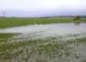 Une parcelle inondée