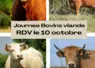 Ne manquez pas la journée dédiée aux bovins viande le 10 octobre prochain.