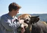 Femme avec vache de race aubrac.