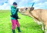 Jeune femme caresse le museau d'une vache dans un pré.