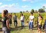 Groupe de personnes suivant une formation dans un vignoble par un temps ensoleillé