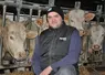 Homme avec un bonnet dans une stabulation avec des vaches de race charolaise.