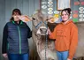 vache brune qui pose avec ses éleveuses