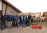 Un groupe de personnes à côté de deux vaches à droite