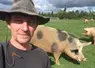 un homme et un porc