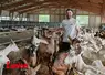 Représentant de la section caprine du Cantal au milieu de ses chèvres.