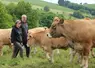 Une jeune femme et un homme marchant au milieu d'un troupeau de vaches aubrac.