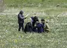 Le jury dans les prairies