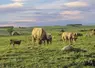 L'Aubrac et ses paysages