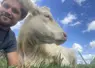 Selfie de Gauthier Hamot aux côtés d'une de ses vaches.