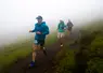 Coureurs trailers en descente sur un chemin dans le brouillard.