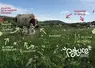 Un libre blanc pour protéger l'élevage herbager du Massif central.