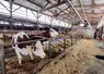 Un bâtiment propre, bien ventilé et sec limite la prolifération des agents pathogènes et/ou des vecteurs des pathogènes.
