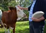 La reconnaissance du fromage a permis de le sauver de l'usurpation et des copies néfastes à sa notoriété. 