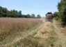machine agricole dans champs