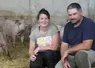 Florine et sébastien Cuminges avec leur élevage de cochons