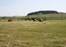 Paysage agricole