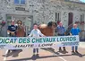 Le Concours départemental de chevaux lourds aura lieu à Araules au coeur du bourg.