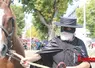 Un éleveur de chevaux lourd conduit sa jument déguisé en Zorro. 