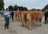 Les juges et le public ont pu apprécié la grande qualité des animaux présentés.