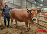 Un éleveur aux côtés de sa vache aubrac engraissée. 
