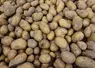 pommes de terre