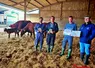trois éleveurs et un technicien tiennent des trophées aux côtés de vaches et veaux salers