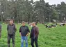Romain, Laurent, Philippe Merle et Antoine Moulin, les 4 associés du Gaec de la Petite Croix à St Maurice de Lignon misent sur la génétique de leur troupeau mais aussi l'alimentation en commençant par l'optimisation des fourrages. 