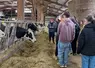 Les collégiens ont découvert des élevages laitiers mais aussi des laiteries.