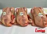 poulets fermiers du Cantal, prêts à cuire. 
