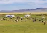 La Mongolie est à l'initiative de l'Année Internationale des Parcours et du Pastoralisme (AIPP) 2026.