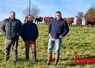 trois agriculteurs au premier plan et des vaches salers au second plan