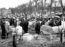 1ère édition de la foire concours bovins de Saint-Pourçain-sur-Sioule en 1966
