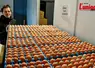 éleveur de poules pondeuses devant sa production d'oeufs. 