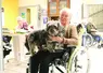 Un chien sur les genoux d'une personne âgée.
