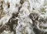 Close up of sheep wool texture